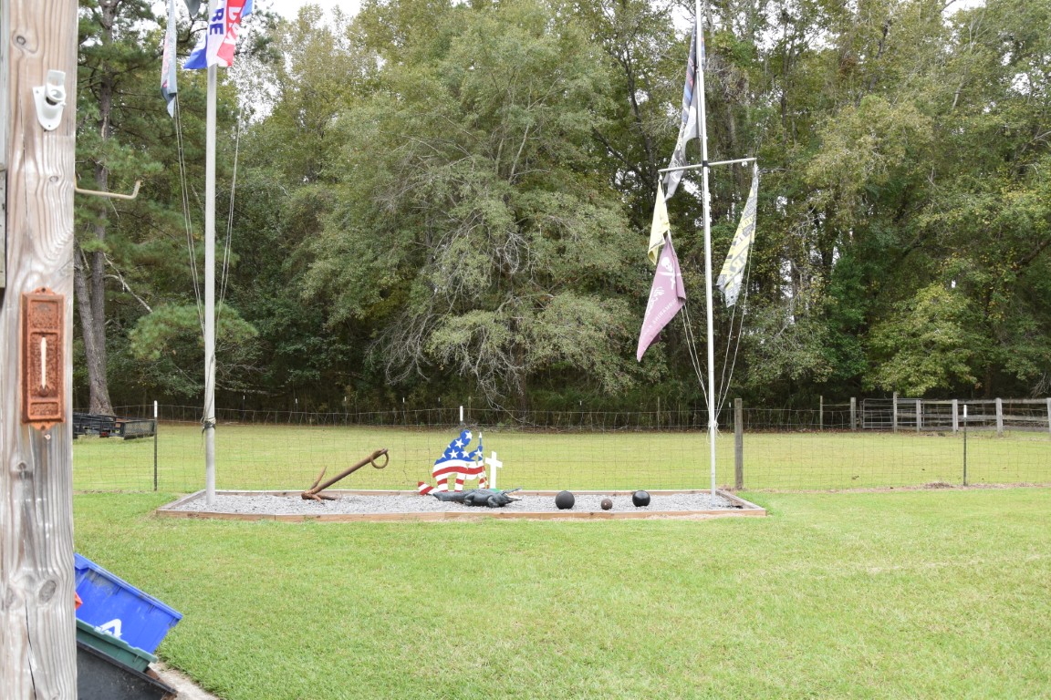 Joe White's photos from 2025 RAYunion