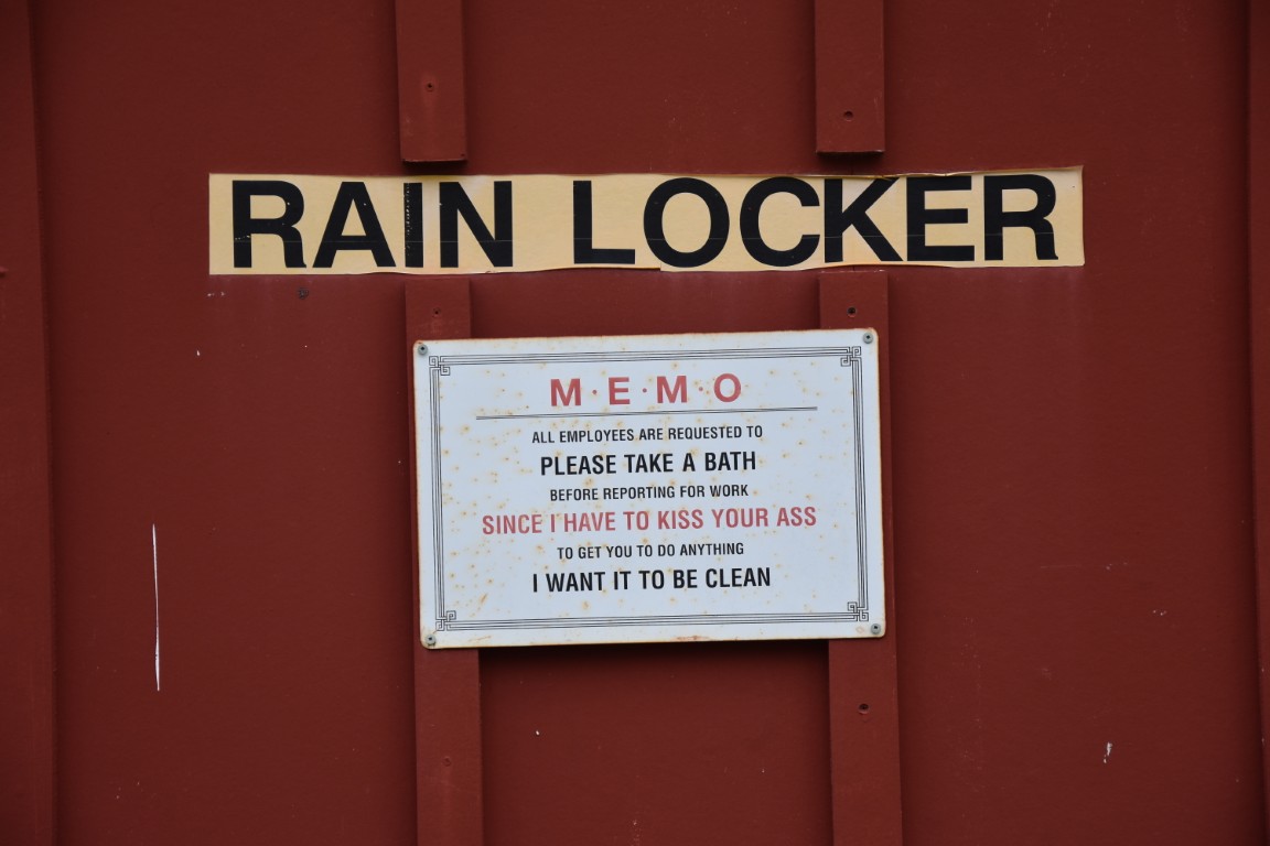 Joe White's photos from 2025 RAYunion