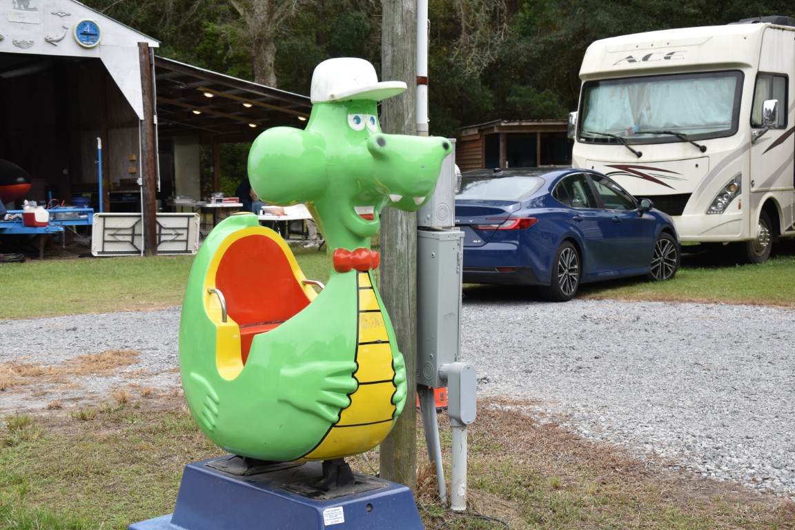 Joe White's photos from 2025 RAYunion