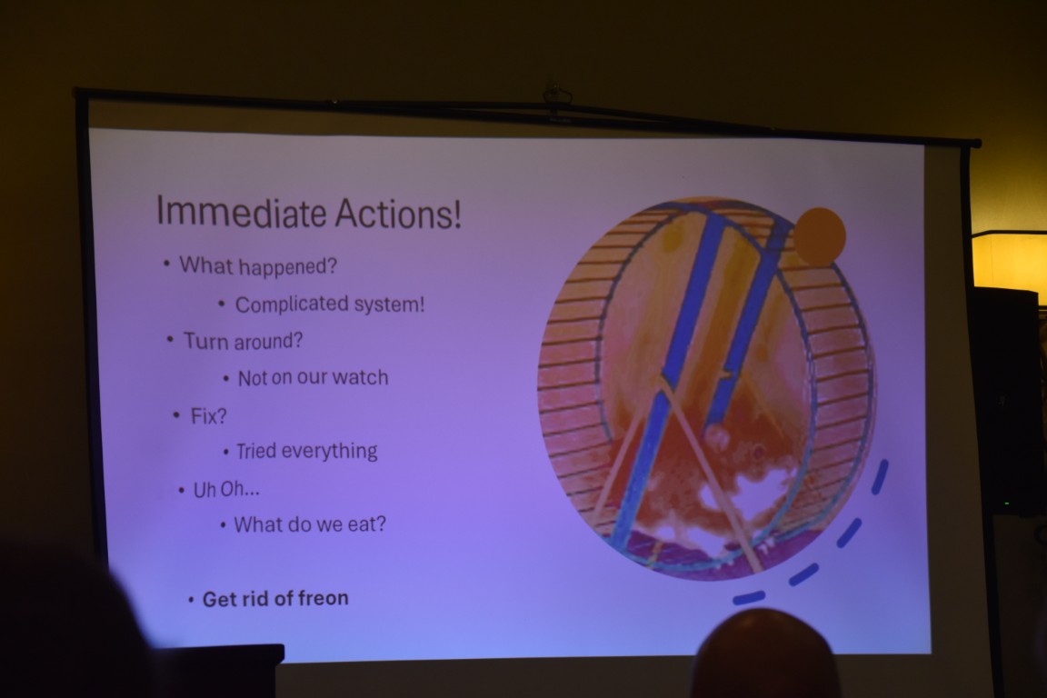 Joe White's photos from 2025 RAYunion