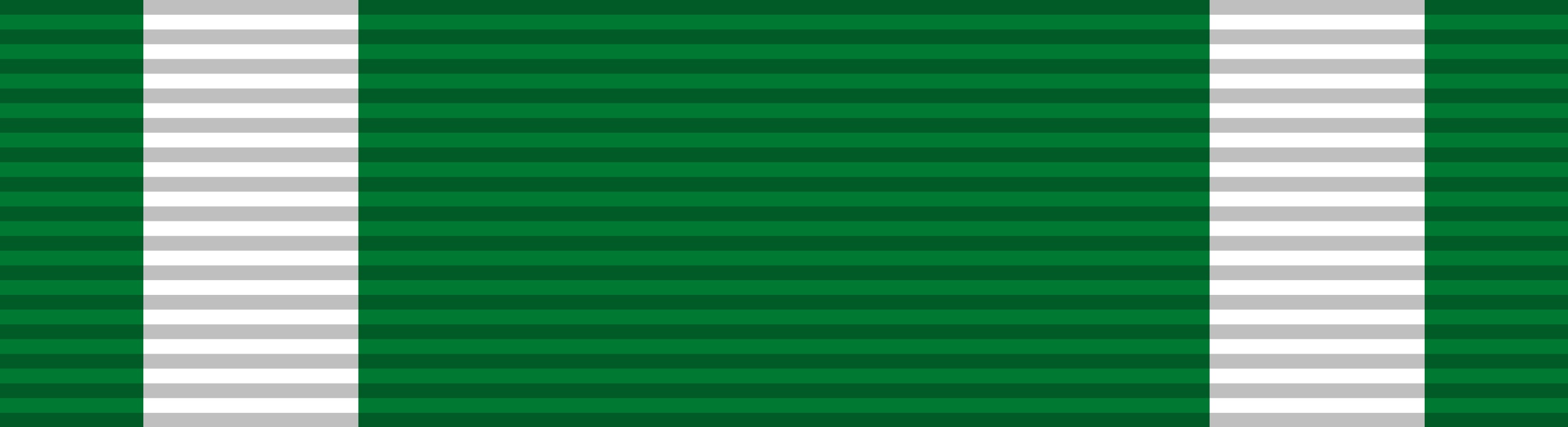 Navy Commendation Medal Service Ribbons